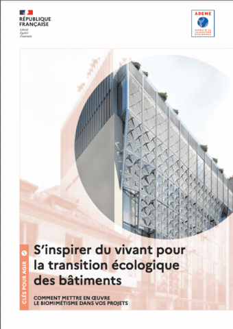 S'inspirer du vivant pour la transition écologique des bâtiments