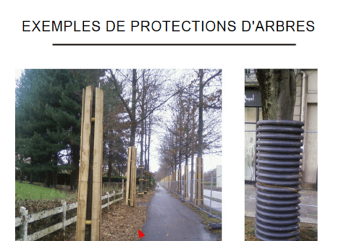 Exemple de protections d'arbres