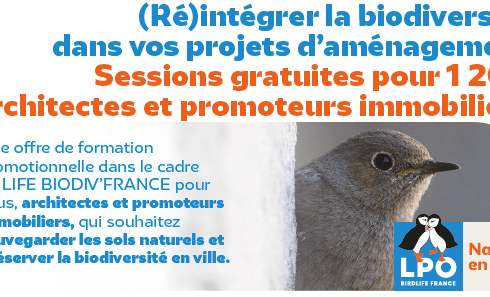 Formations LPO 2025